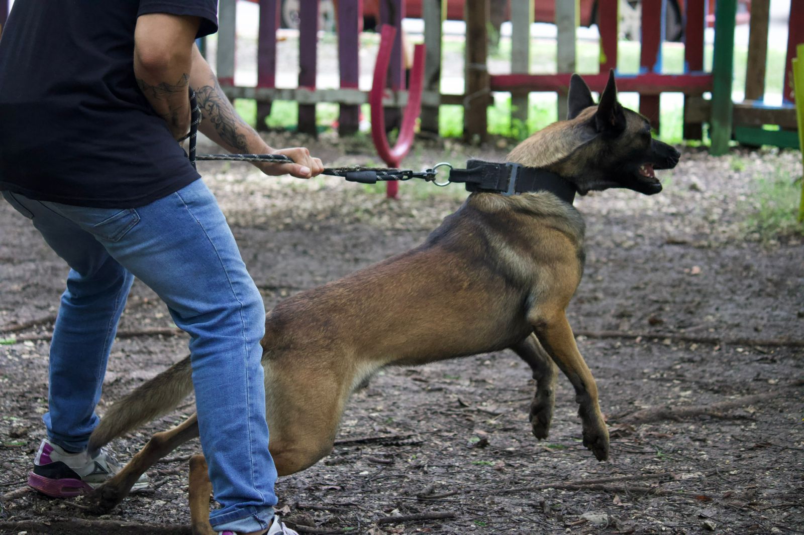 Rehabilitación Conductual